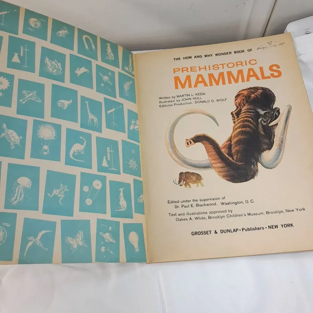 Vintage The How & Why Wonder‎ Book Of Prehistoric Mammals kids 1972 animals pics